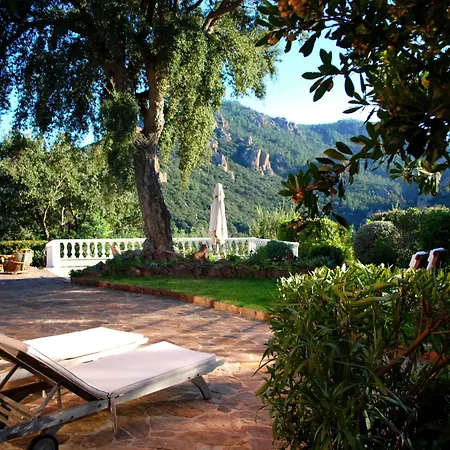 Villa Avec Piscine, Parc Naturel Esterel, Nature, 15 Min De Mandelieu Fréjus