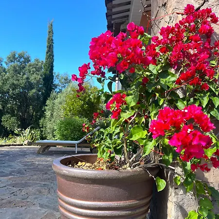 Avec Piscine, Parc Naturel Esterel, Nature, 15 Min De Mandelieu Fréjus