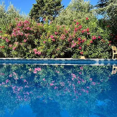 Avec Piscine, Parc Naturel Esterel, Nature, 15 Min De Mandelieu